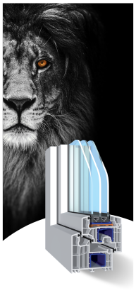 Lion Evolution 92