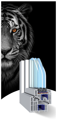 Tiger Evolution 82