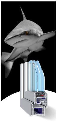Shark Evolution 72